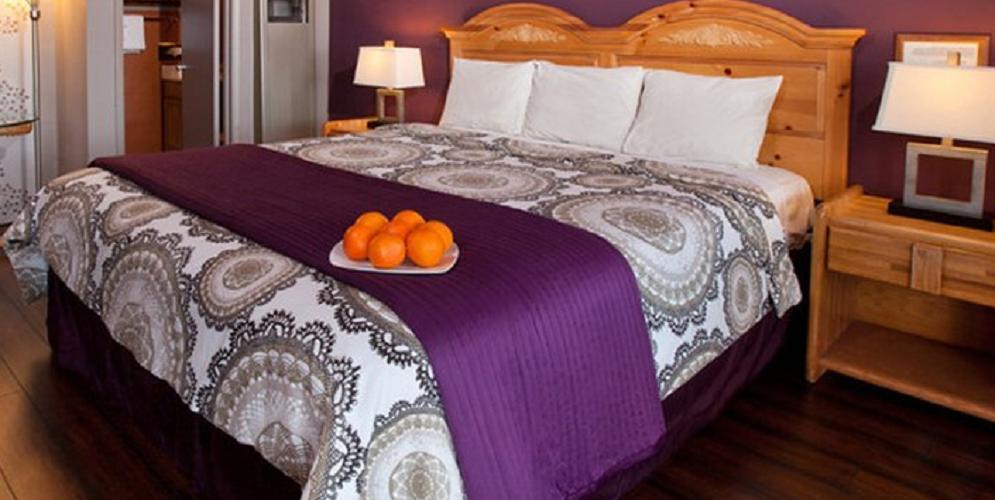 Aviva Inn Tahoe City Rum bild